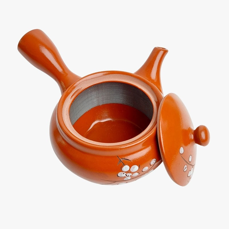 Red Kyusu Japanese teapot