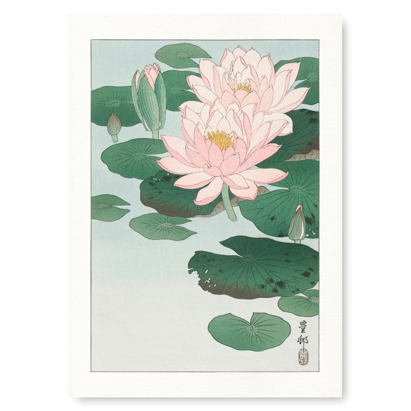Water Lily Print Poster A3