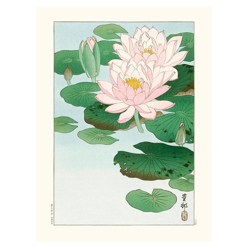 Water lilies print poster - 30 x 40 cm